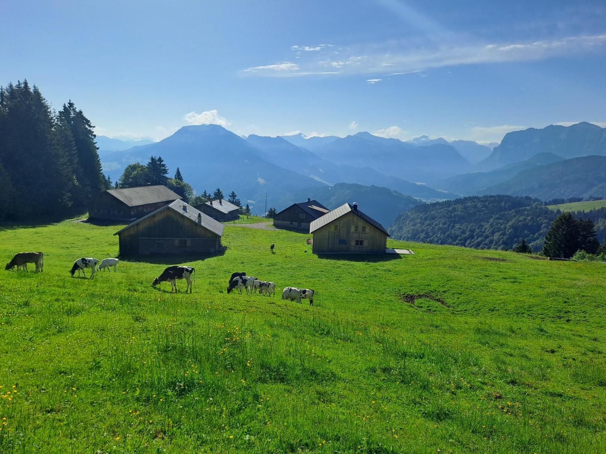 Appartamento Neu Auszeit985 - Auszeit Mit Ausblick Schwarzenberg im Bregenzerwald Esterno foto